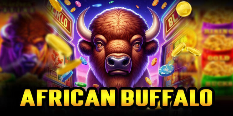 african buffalo
