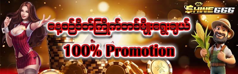 စိတ်ကြိုက်ပလိုမိုးရှင်း 100%